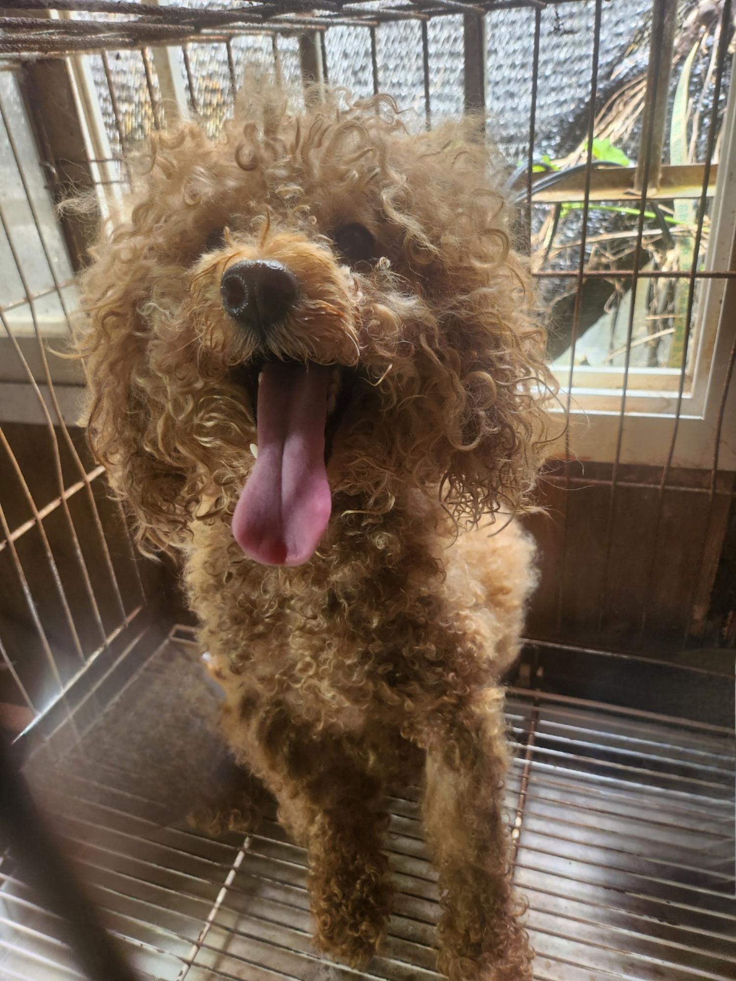 울산유기동물보호센터_431370202400679